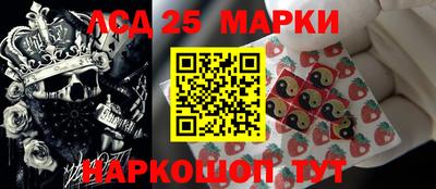 индика Гусь-Хрустальный