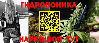 индика Гусь-Хрустальный