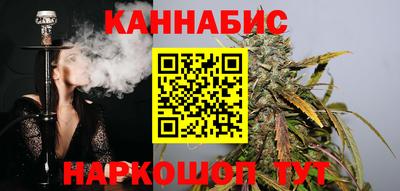 индика Гусь-Хрустальный