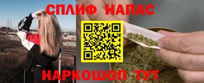 индика Гусь-Хрустальный